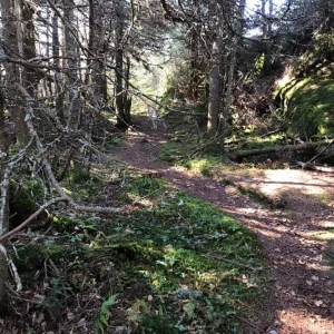 Summit ridge trail