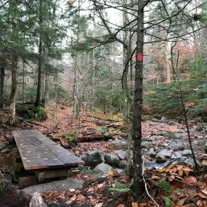 New bridge