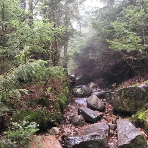 Easier going up