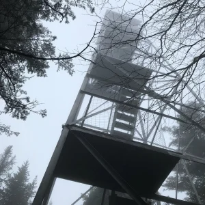 Gloomy on Snowy