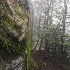 Headwall