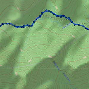 My track