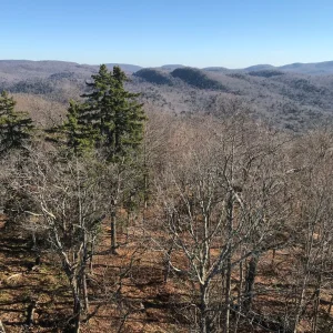 More views