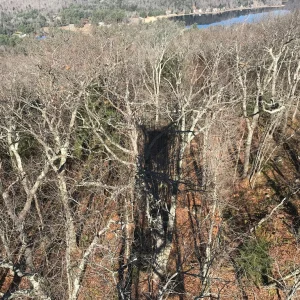 Shadow of tower