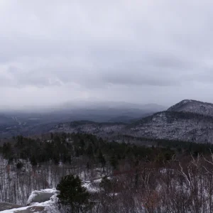 P1010052.jpg
