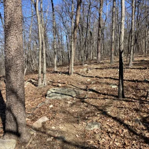 Open trail