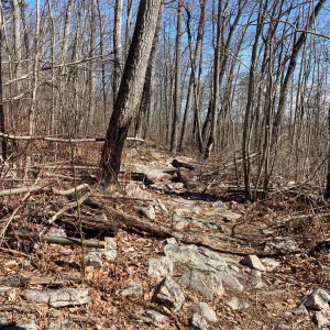 craggy trail.