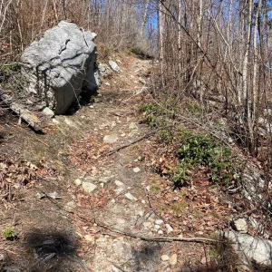 Upward
