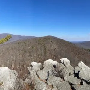 Pano