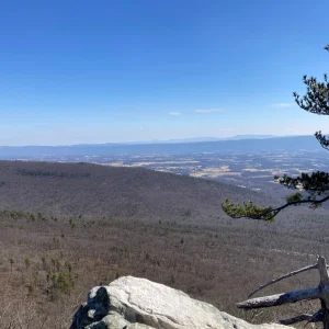 Another view east