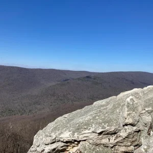 Views northwest