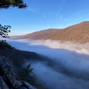 Fog in the valley.