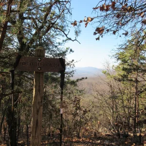 Fort Valley view.