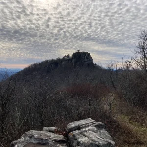 The Castle