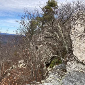 View NW from lookout