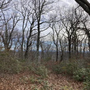 Media 'Views' in album 'Big Schloss & Mill Mountain'