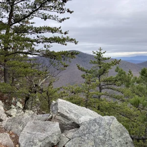 More views