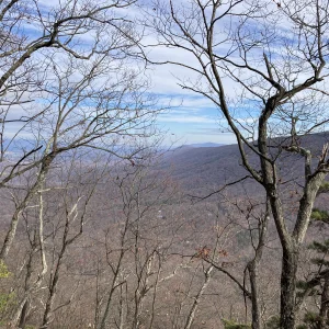 Looking north