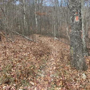 Media 'The typical trail' in album 'Copernicus Ridge'