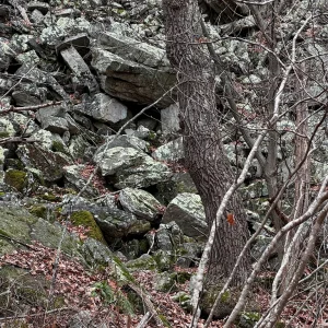 IMG_5880.jpg