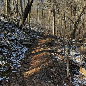 Early morning trail