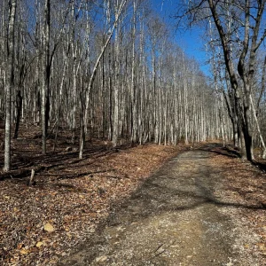 Road walk