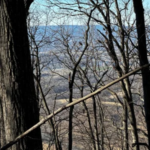Some views