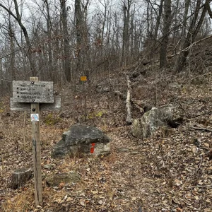 Direction Sign
