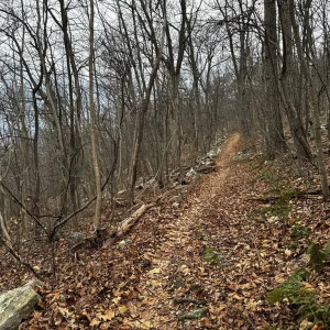 Nice Trail