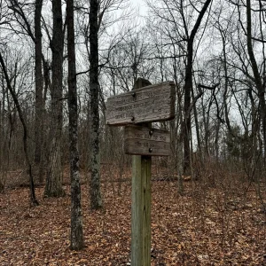 Junction With Mine Gap Trail