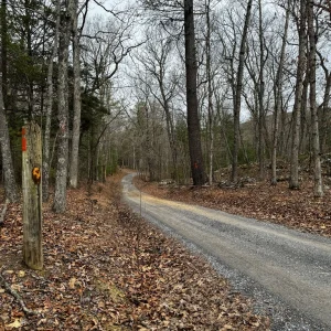 FS 66 Road