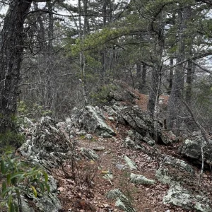 Rocky Ridge.jpg