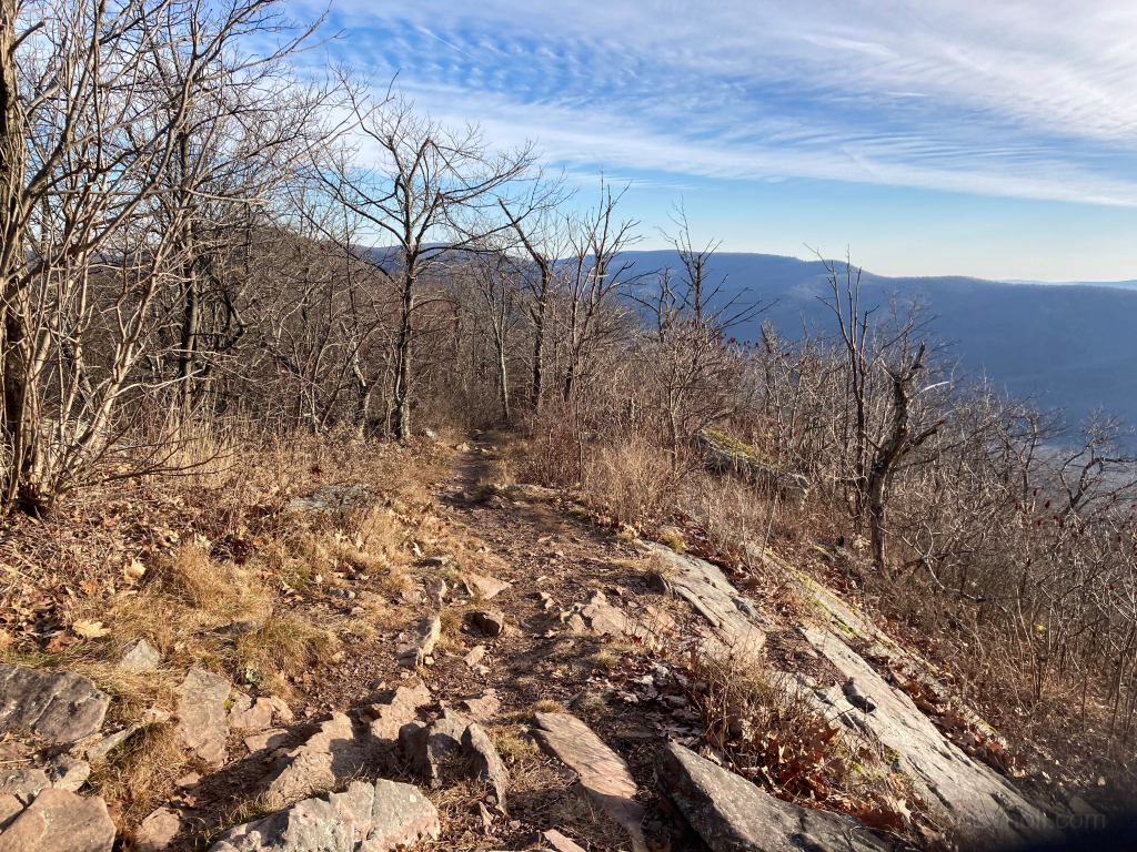 A sample of the trail along the ridge