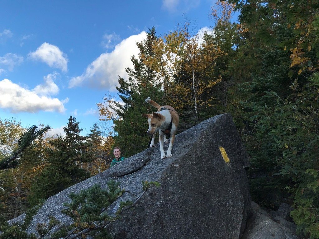 Big adventure