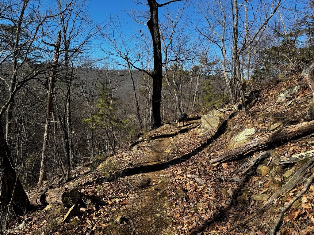 Coming up from Edinburg Gap