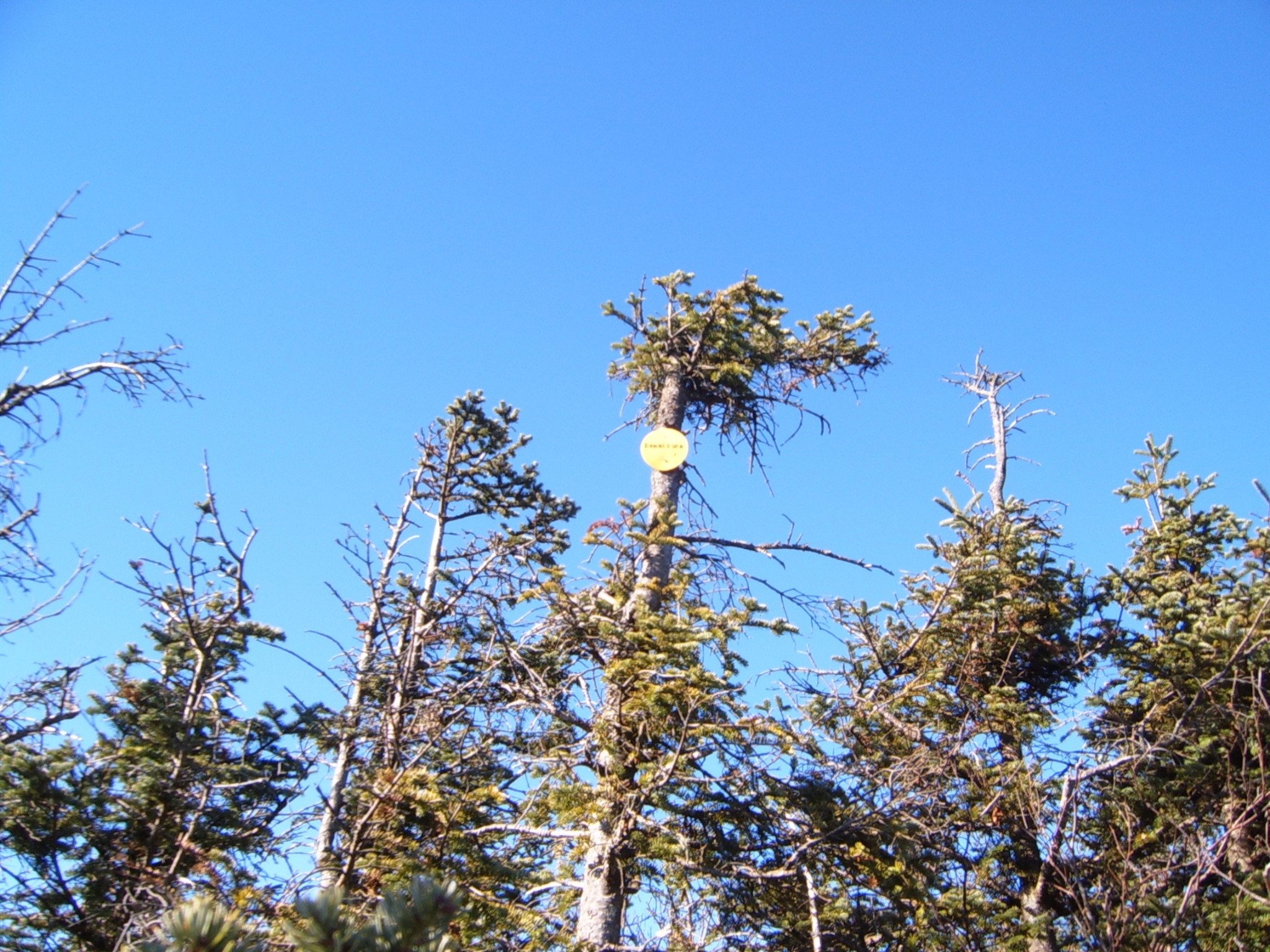 Donaldson_summit_08