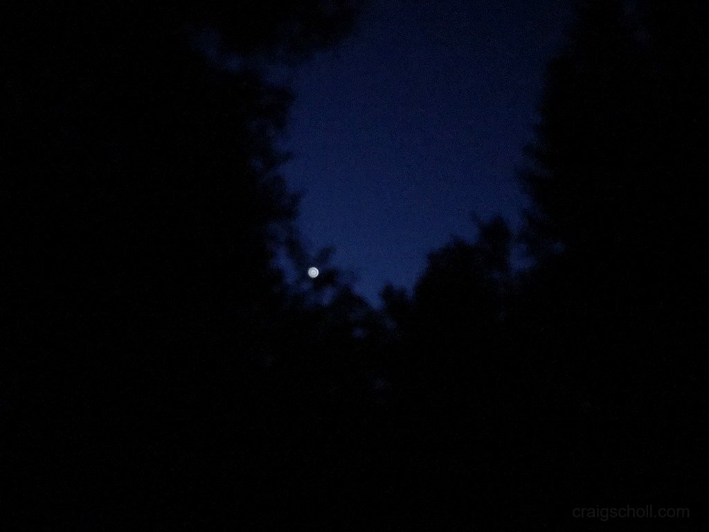 Early morning