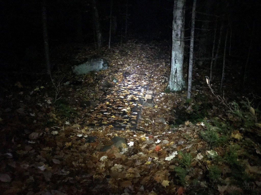 Early morning