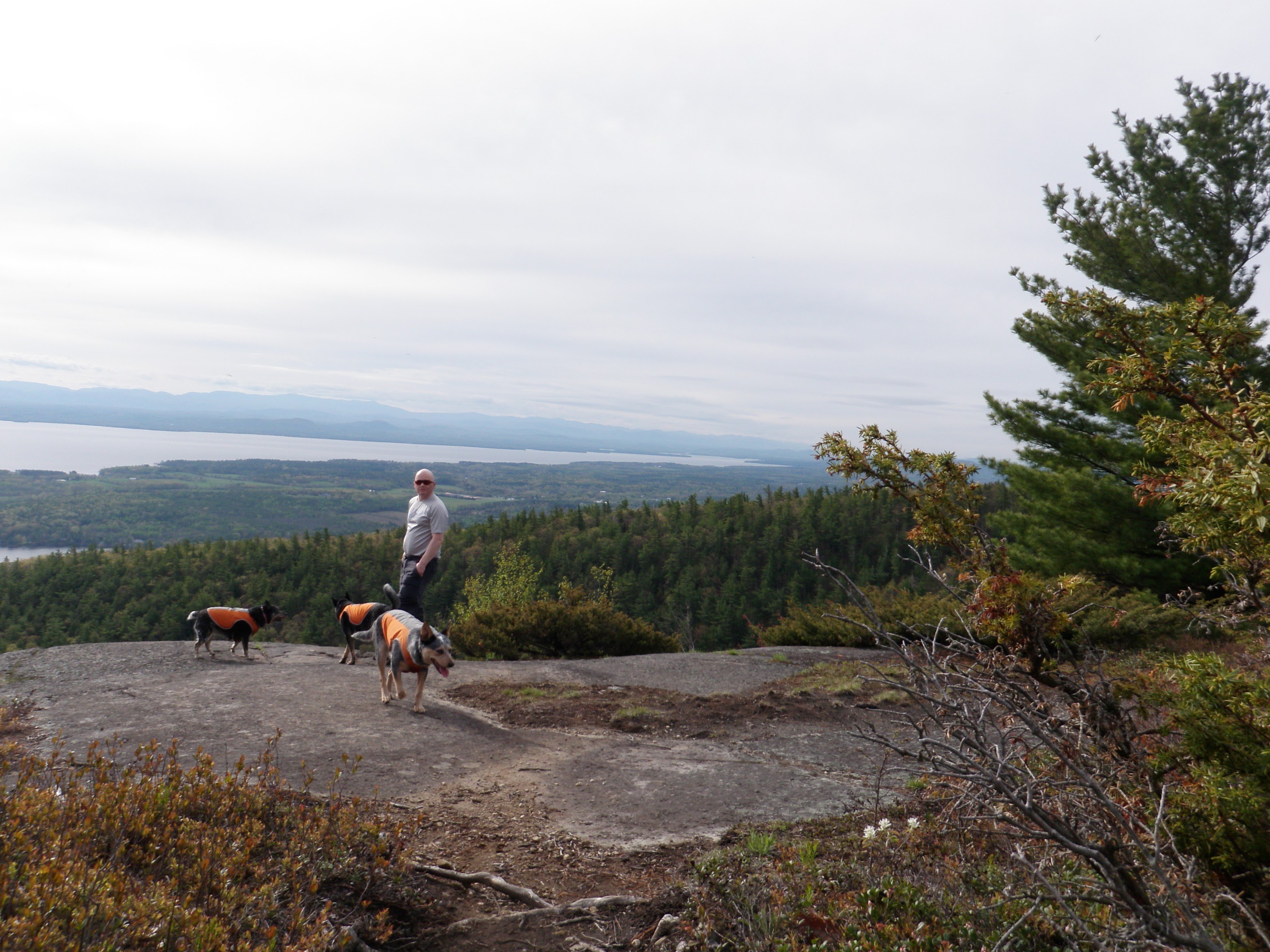 Enjoying the views