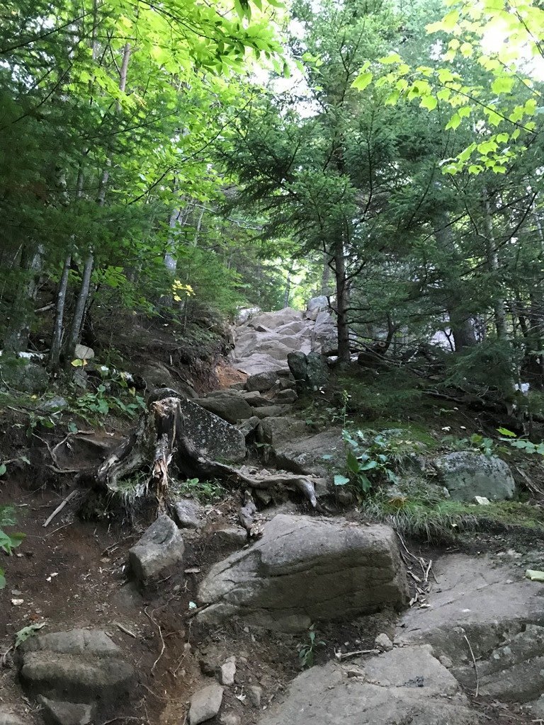 First scramble
