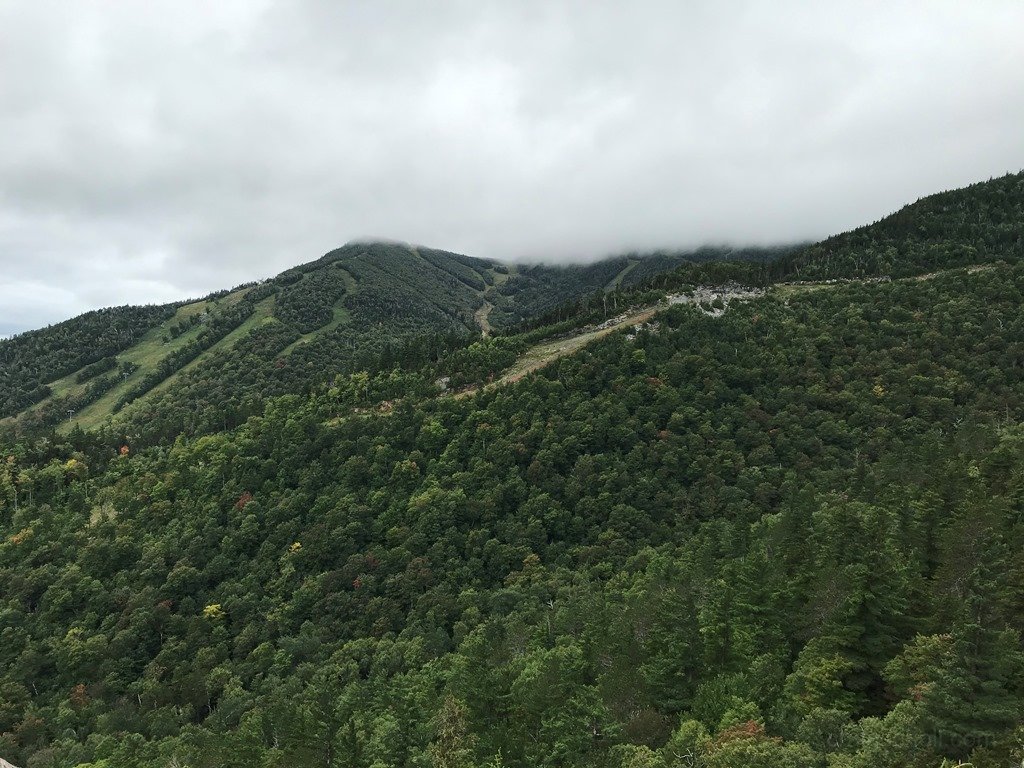 First views