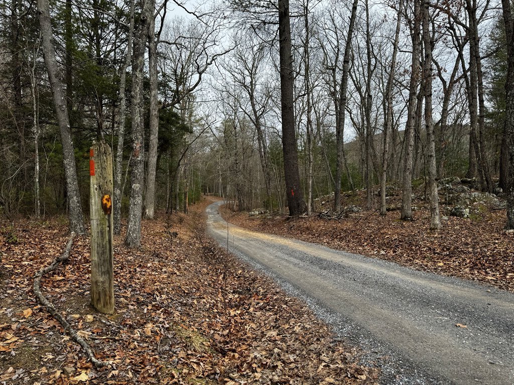 FS 66 Road