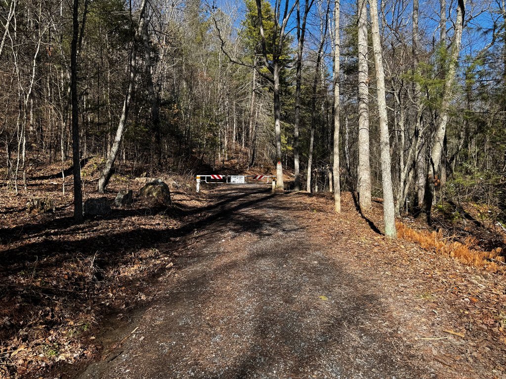 Gate where trail meets road