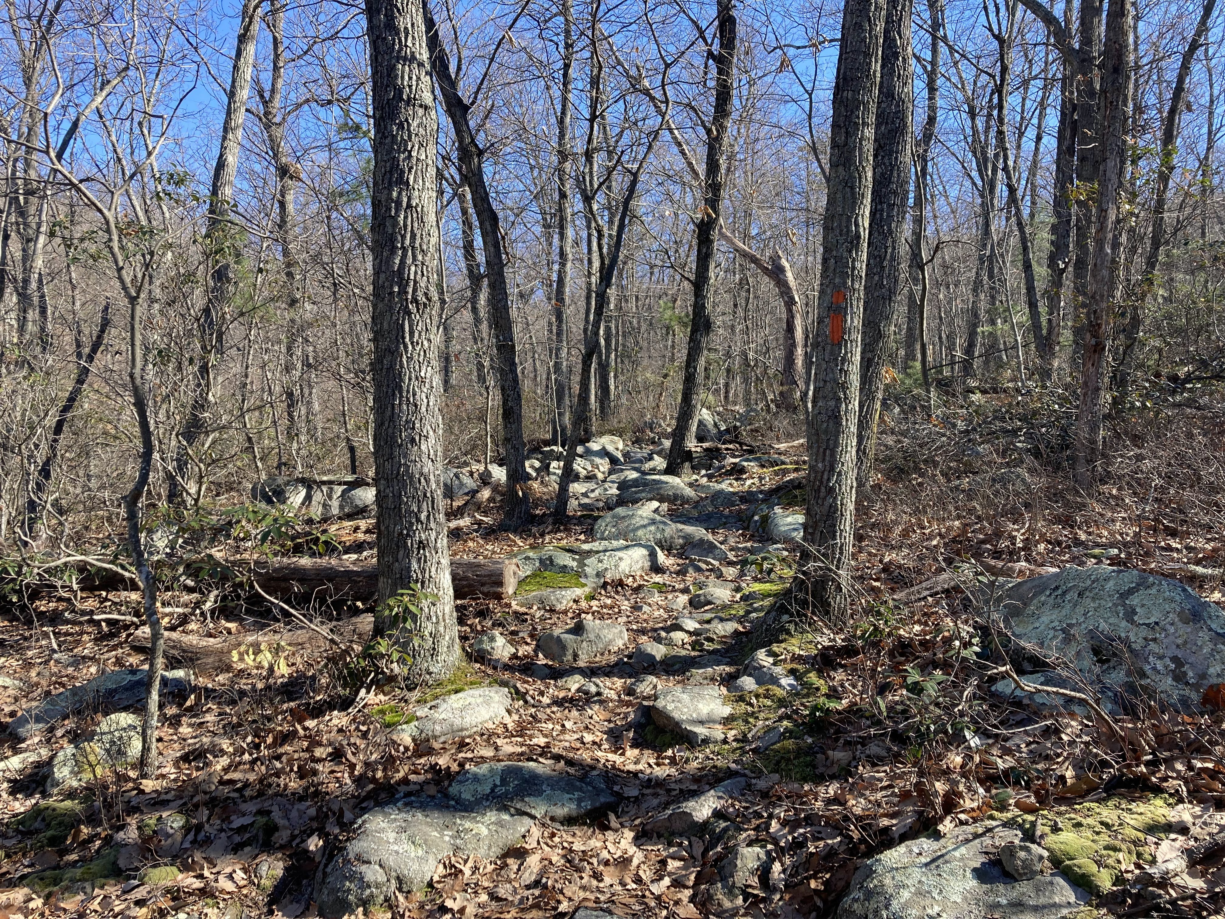 Getting rocky