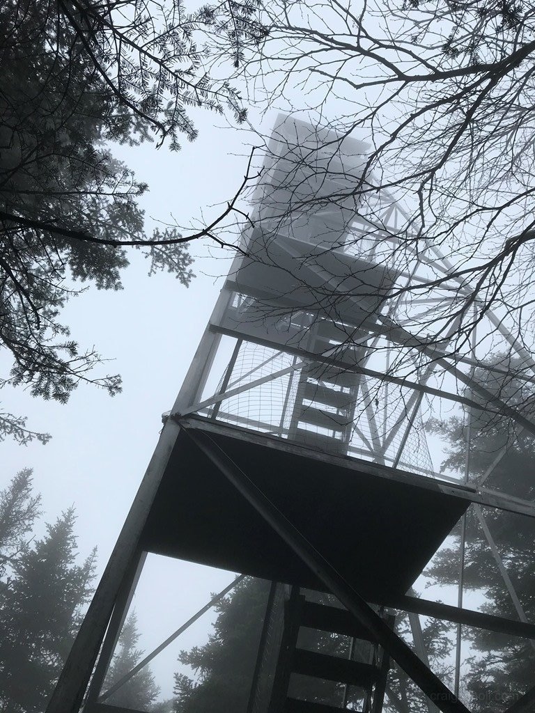 Gloomy on Snowy