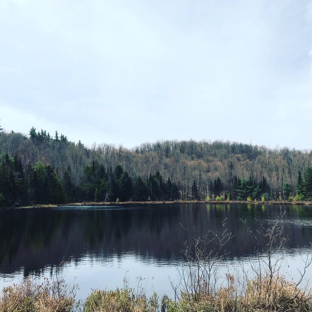 Image-15.jpg