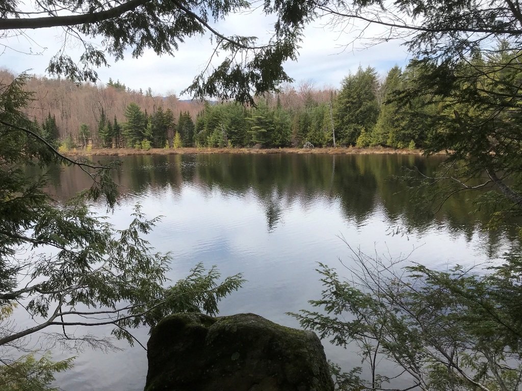 Image-8.jpg