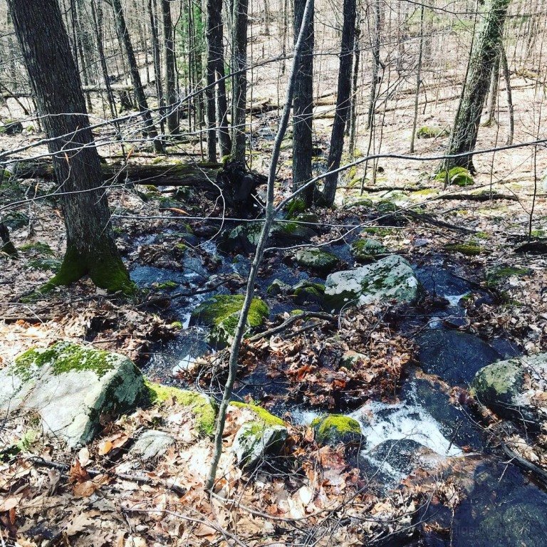 Image-9.jpg