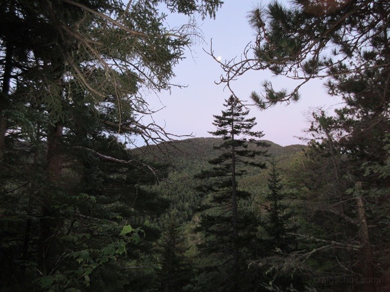IMG_0048.JPG
