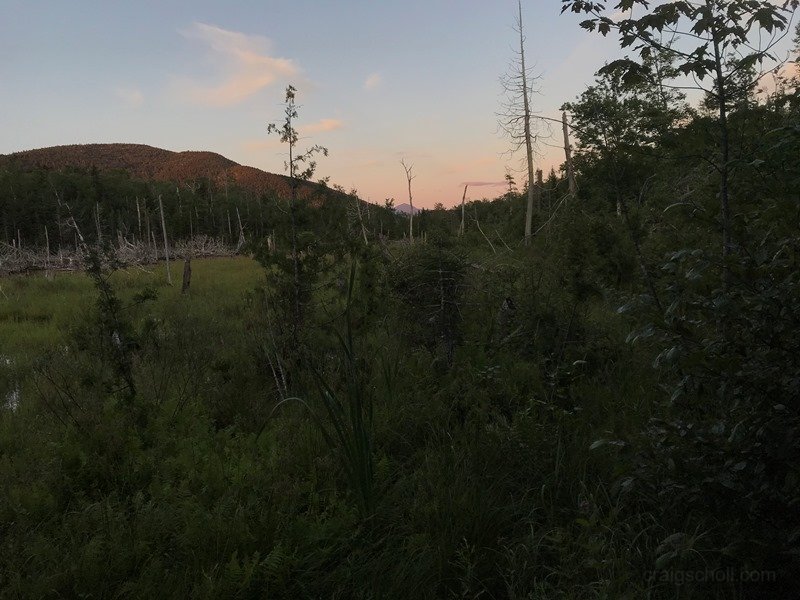 IMG_3341.JPG